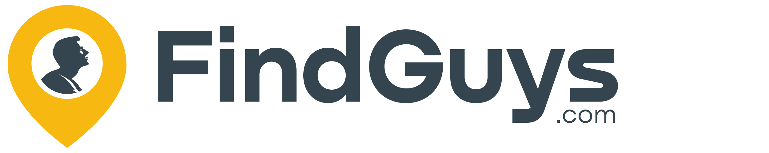FindGuys.com logo
